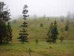 obr�zek fotogalerie