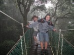 obr�zek fotogalerie