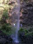 obr�zek fotogalerie