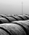 obr�zek fotogalerie