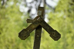 obr�zek fotogalerie