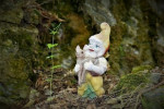 obr�zek fotogalerie