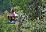 obr�zek fotogalerie