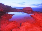 MgA. David Kurc profesion�ln� fotograf